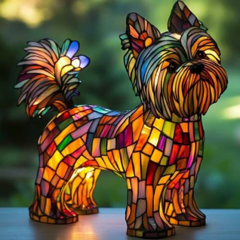 Yorkshire Terrier Shine
